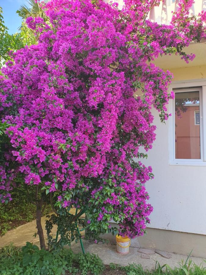 באר Villa Blanca מראה חיצוני תמונה